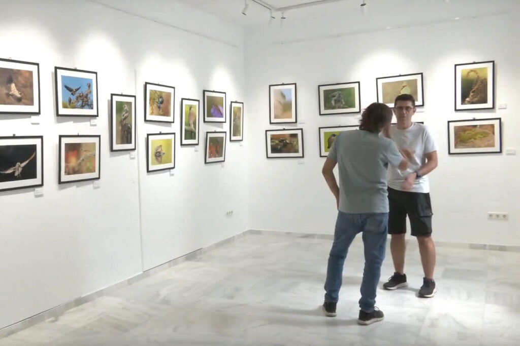 Exposición "Visión Natural" (Grunsber)