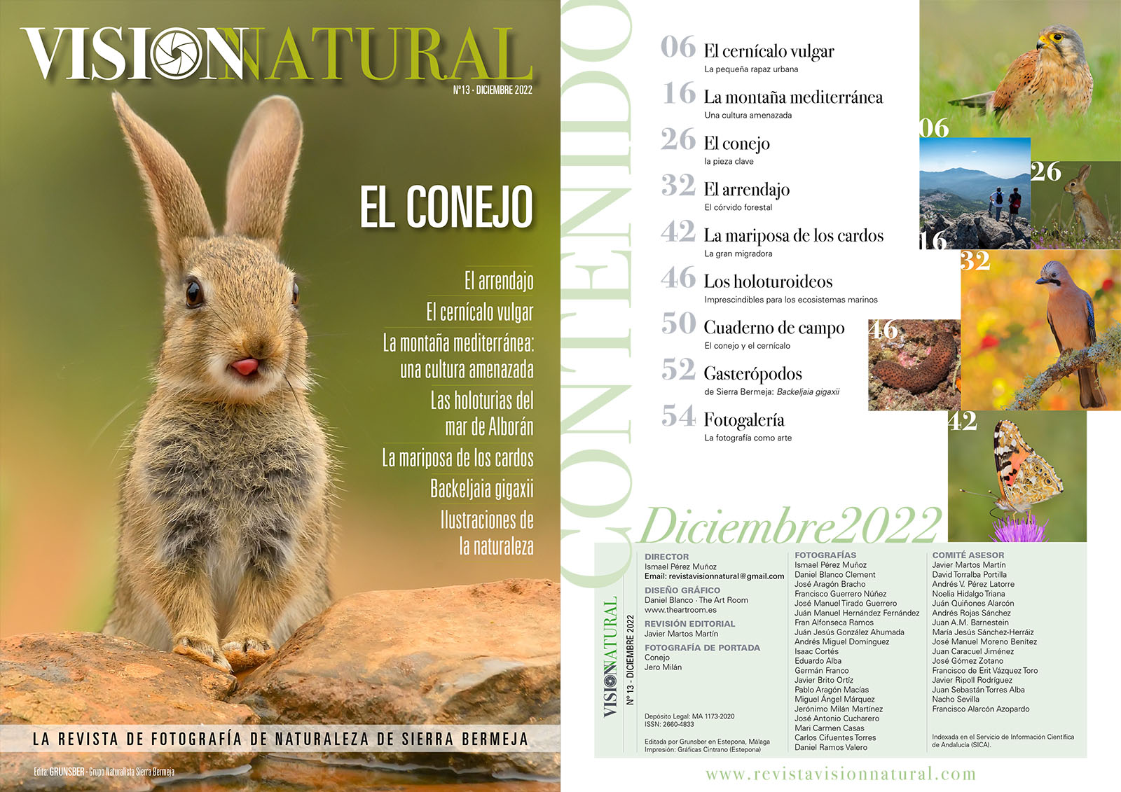 Visión Natural - N13