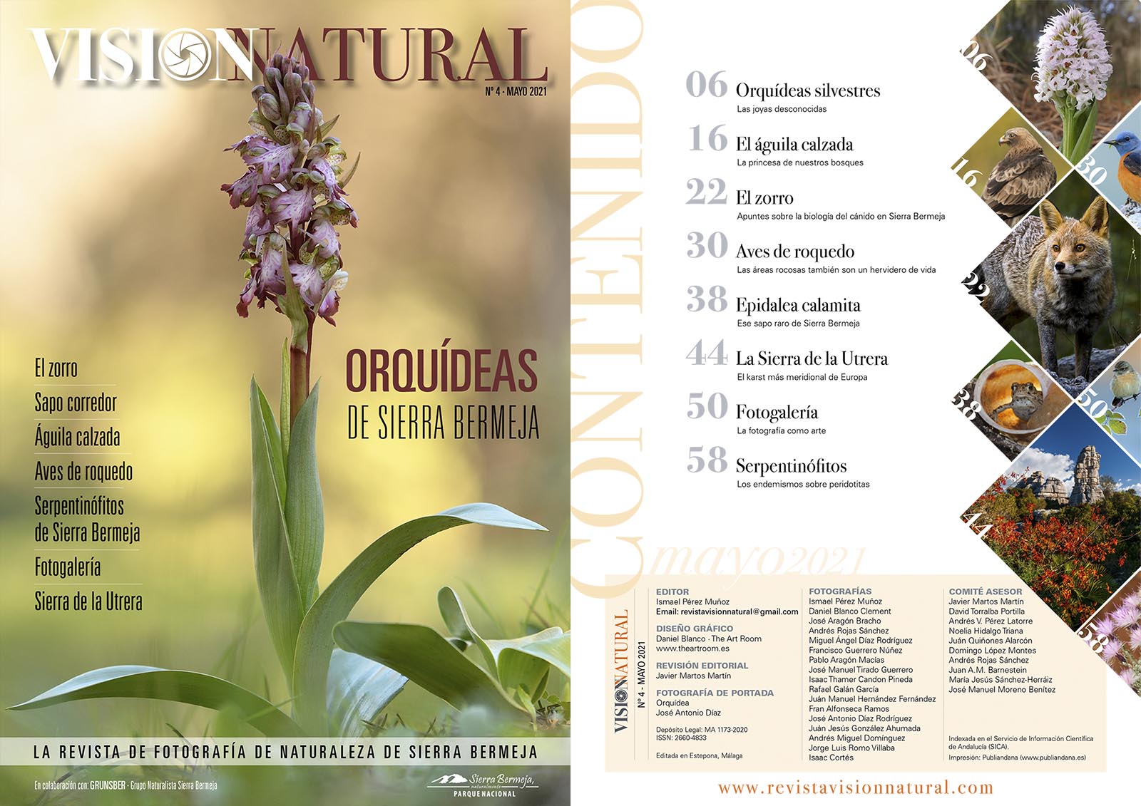 Visión Natural - N4