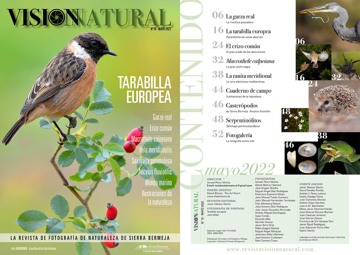 Visión Natural - N10