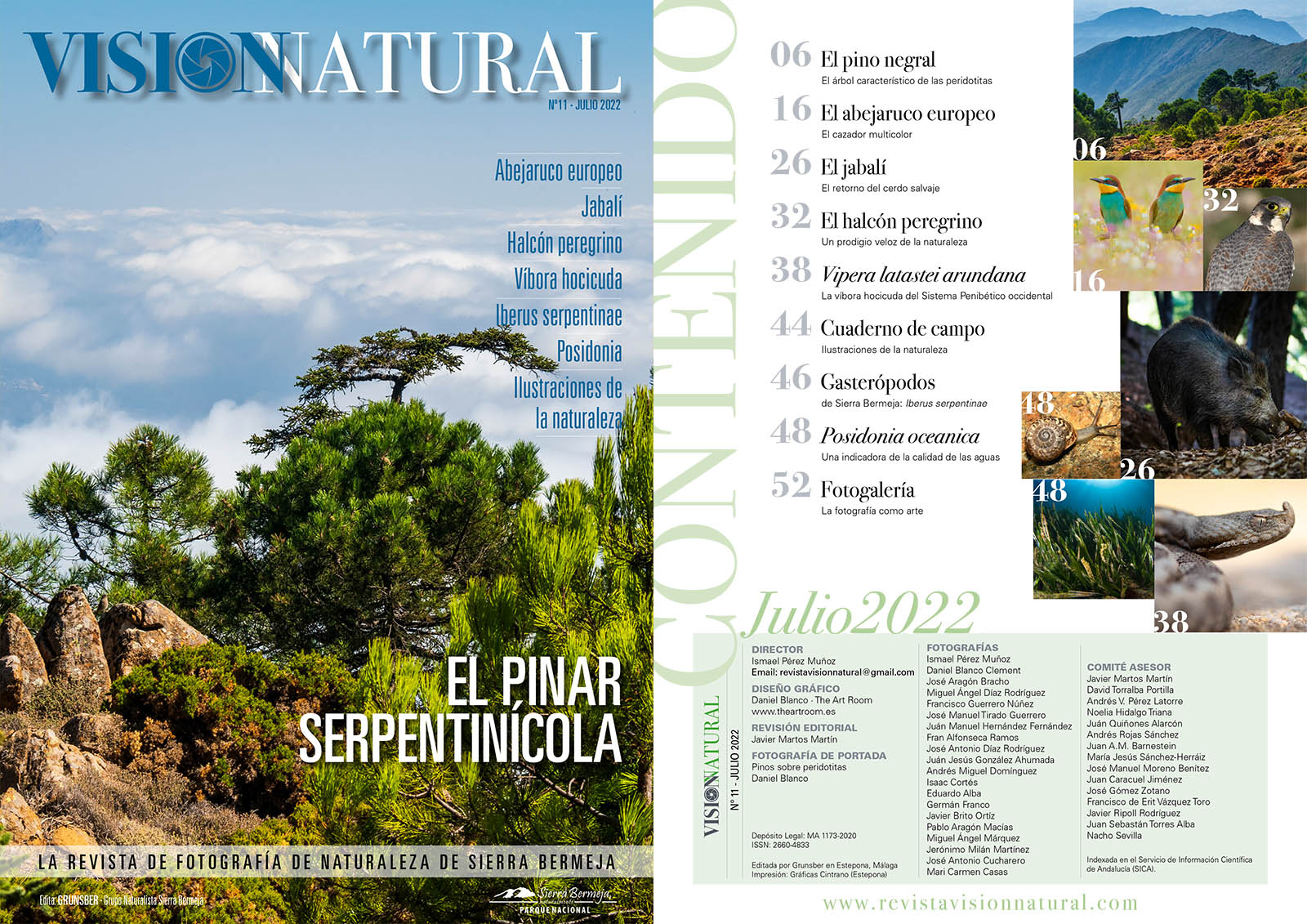 Visión Natural - N11