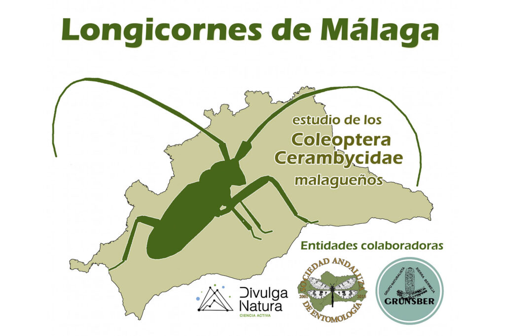 Cerambícidos malagueños