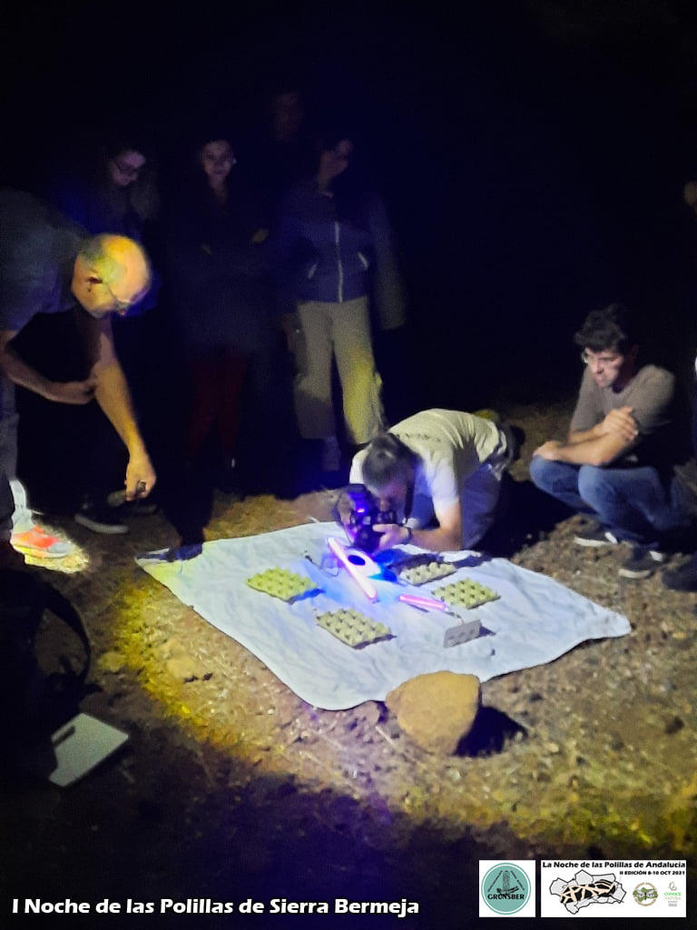 I Noche de las Polilas de Sierra Bermeja (Grunsber, SAE, ConoceNatura)