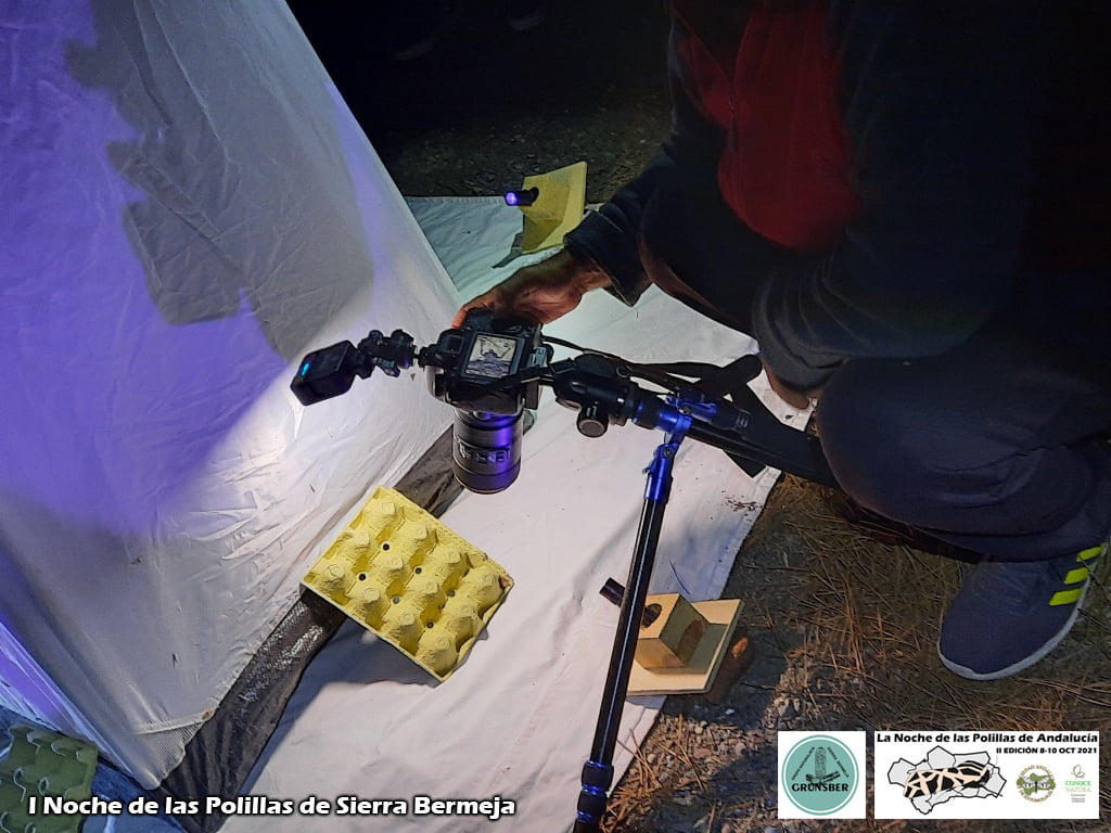 I Noche de las Polilas de Sierra Bermeja (Grunsber, SAE, ConoceNatura)