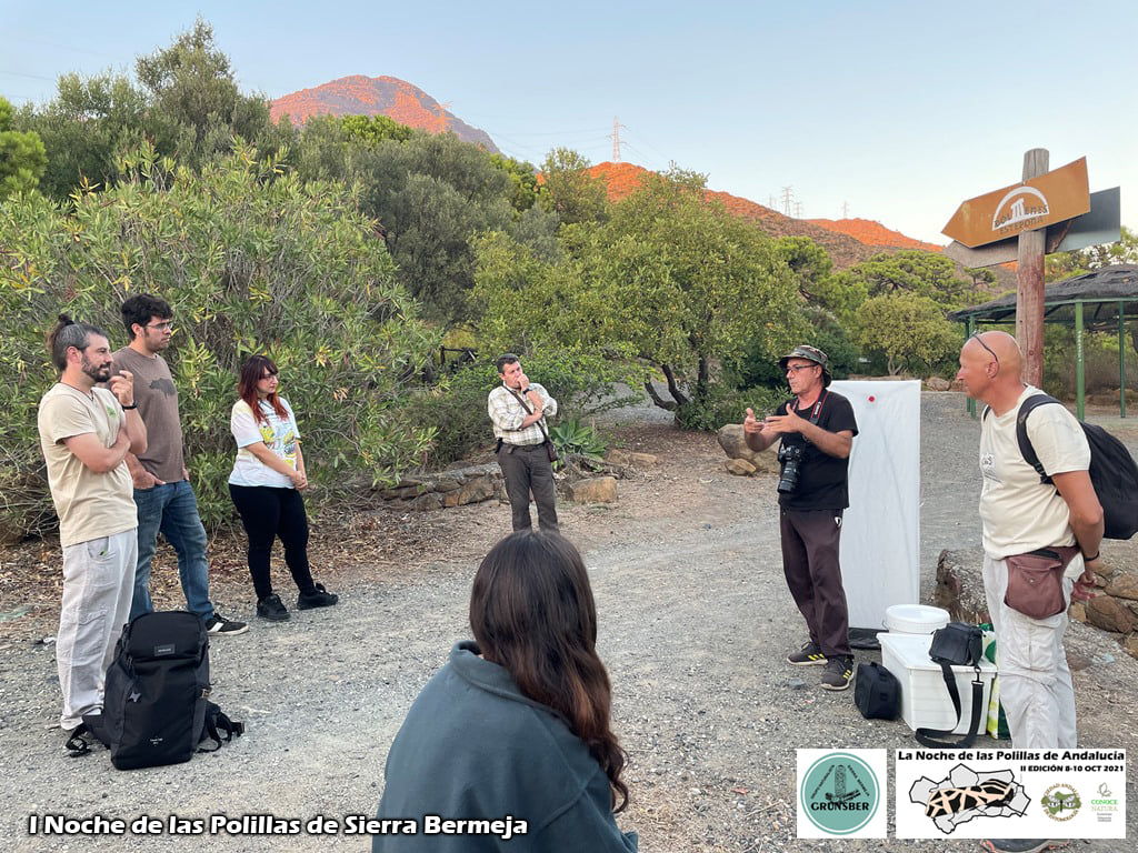 I Noche de las Polilas de Sierra Bermeja (Grunsber, SAE, ConoceNatura)