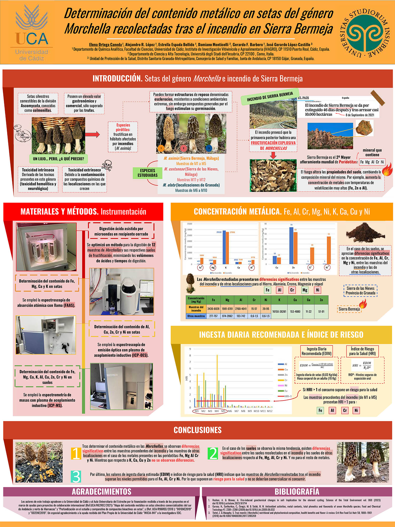 Las morchellas recolectadas en Sierra Bermeja son tóxicas