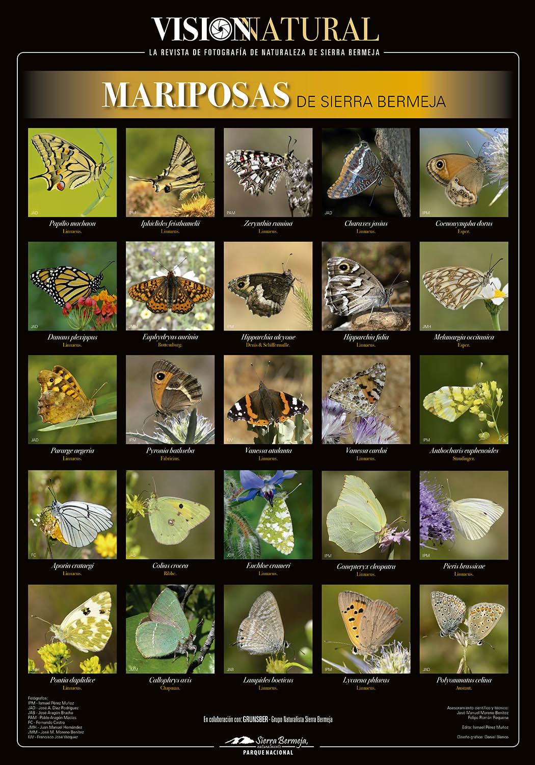 Mariposas de Sierra Bermeja (Grunsber)