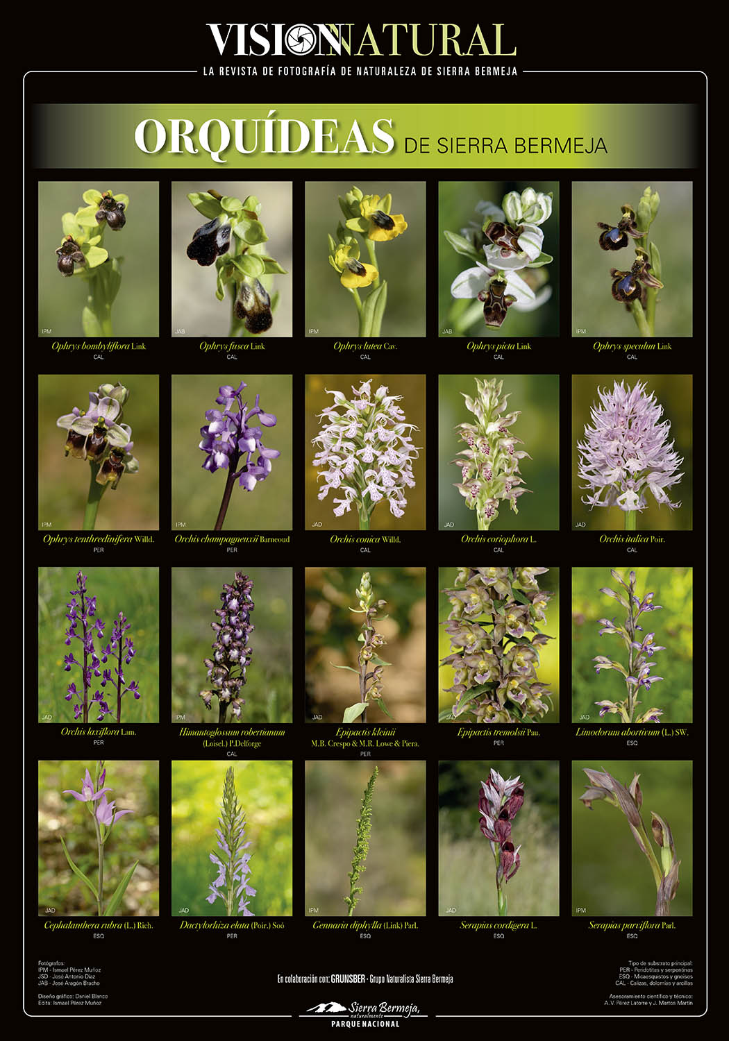 Orquídeas de Sierra Bermeja (Grunsber)