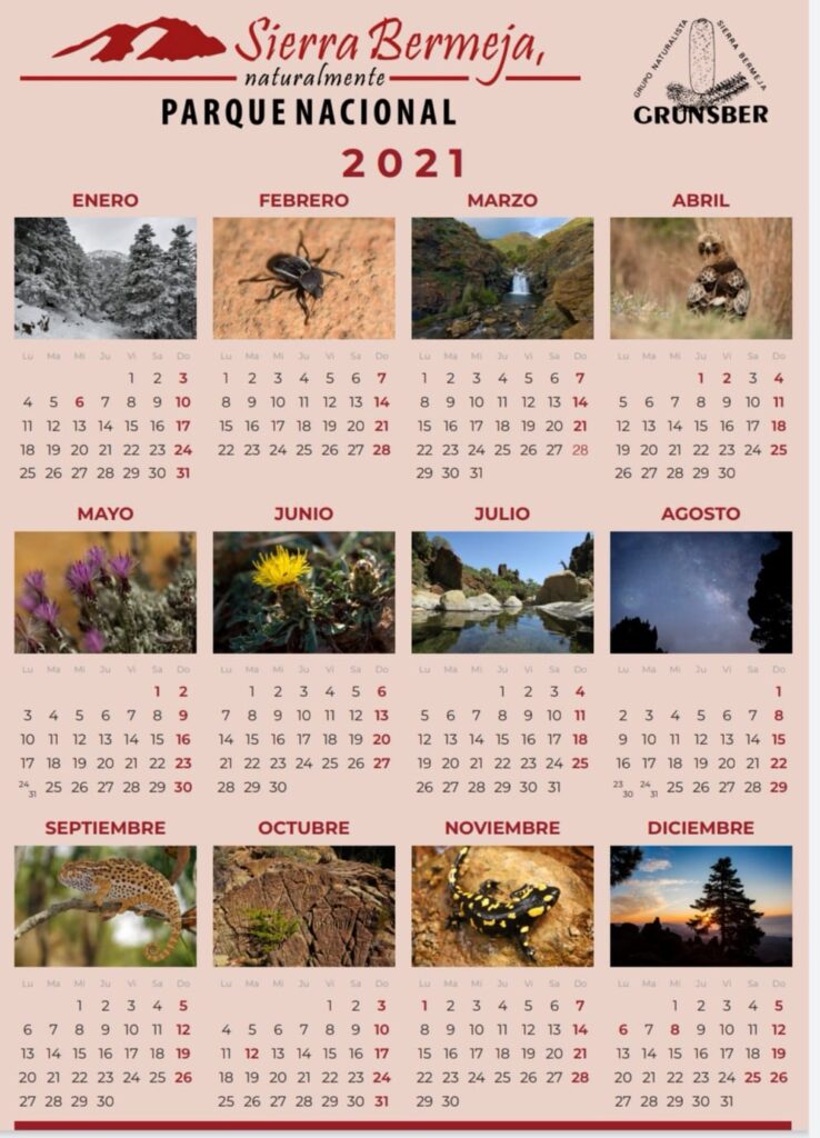 Calendario Grunsber 2021