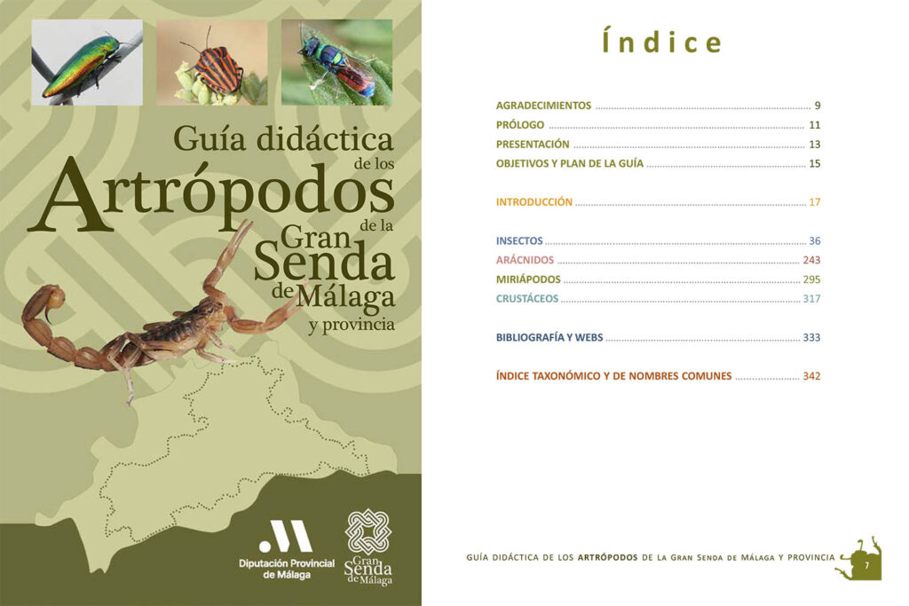 Guía didáctica de los artrópodos de la provincia de Málaga