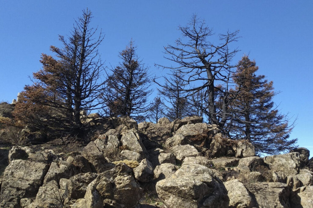 Incendio de Sierra Bermeja (Septiembre de 2021)
