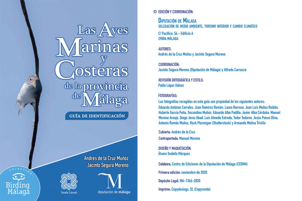 Publicada una guía de las aves marinas y costeras de la provincia de Málaga