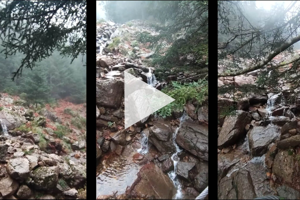 Lluvias en Sierra Bermeja (Febrero de 2024)