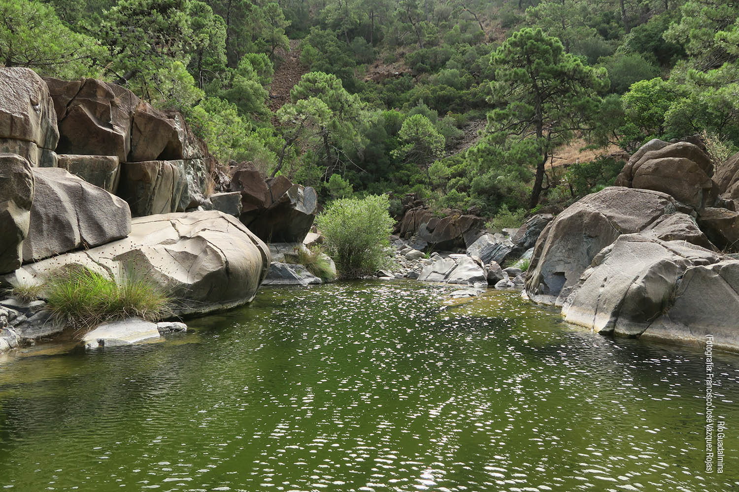Río Guadalmina (Autor: Francisco José Vázquez Rojas, Grunsber)