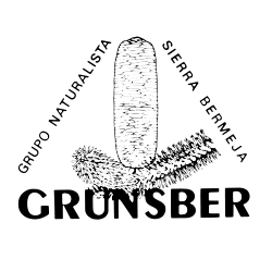 logo-grunsber-250