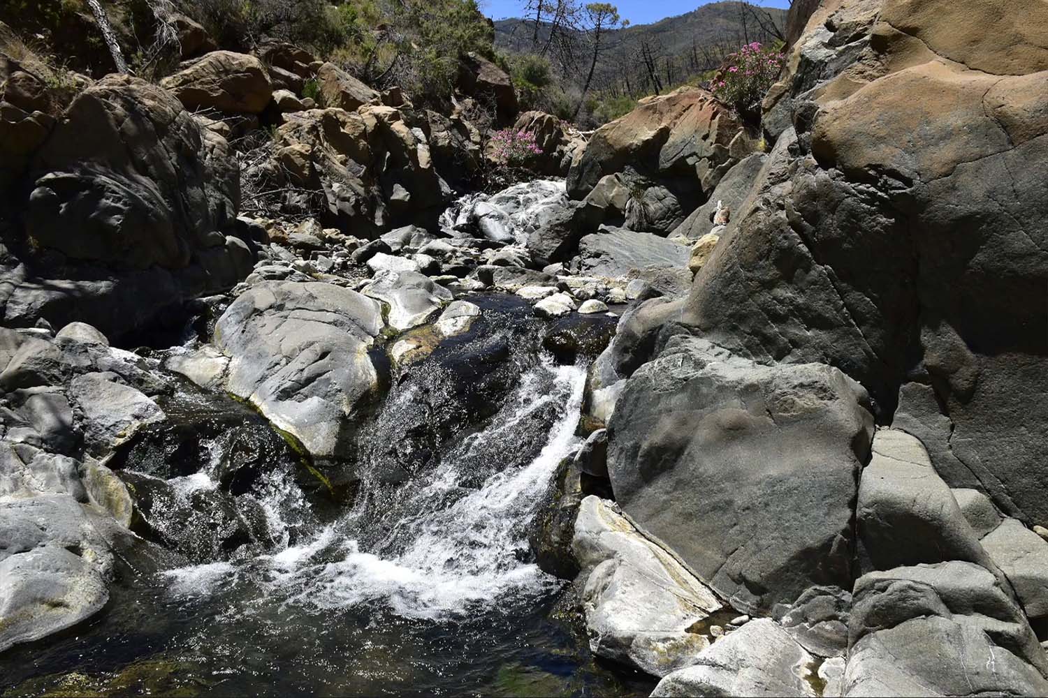 Río Castor (Sierra Bermeja)