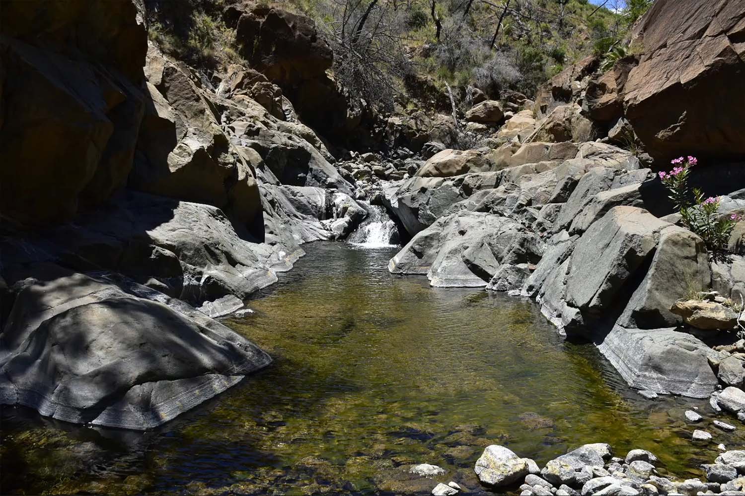 Río Castor (Sierra Bermeja)