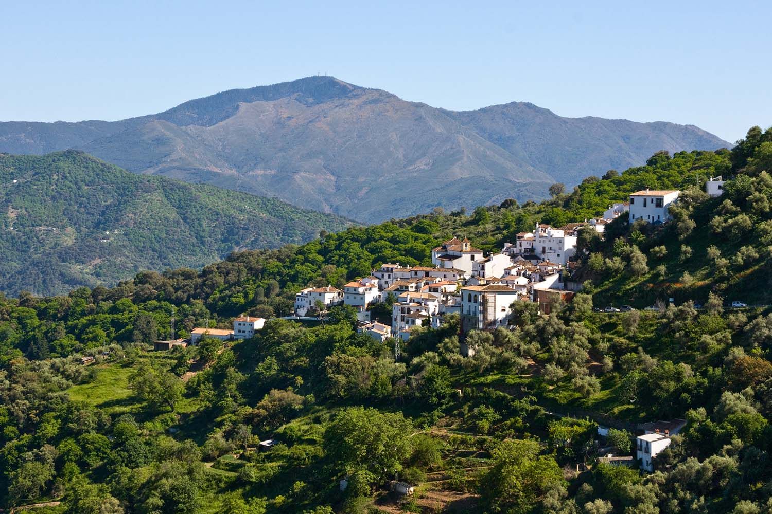 Benalauría (Autor: Javier Martos Martín)