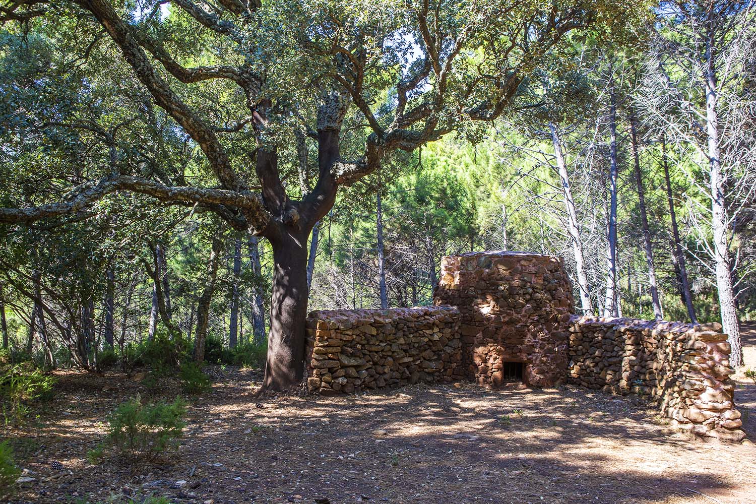 Horno de los Almárgenes (Estepona, Sierra Bermeja). Autor: Rafael Galán García