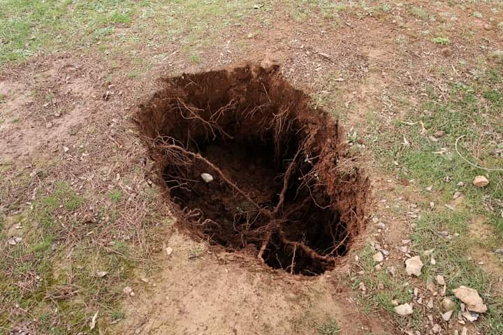 Polje de Conejeras (Fotografía: Rafael Flores)