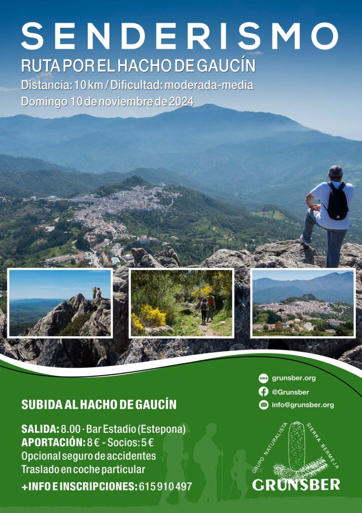 Ruta de subida al Hacho de Gaucín (1/11/2024)