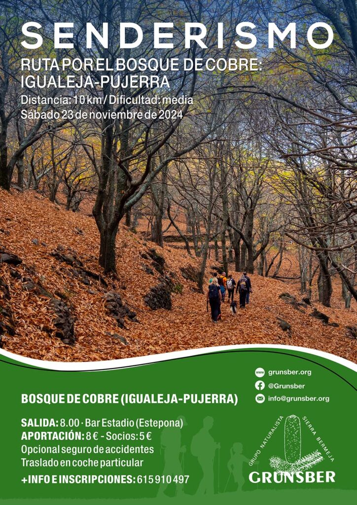 Ruta por el Bosque de Cobre (Igualeja-Pujerra)