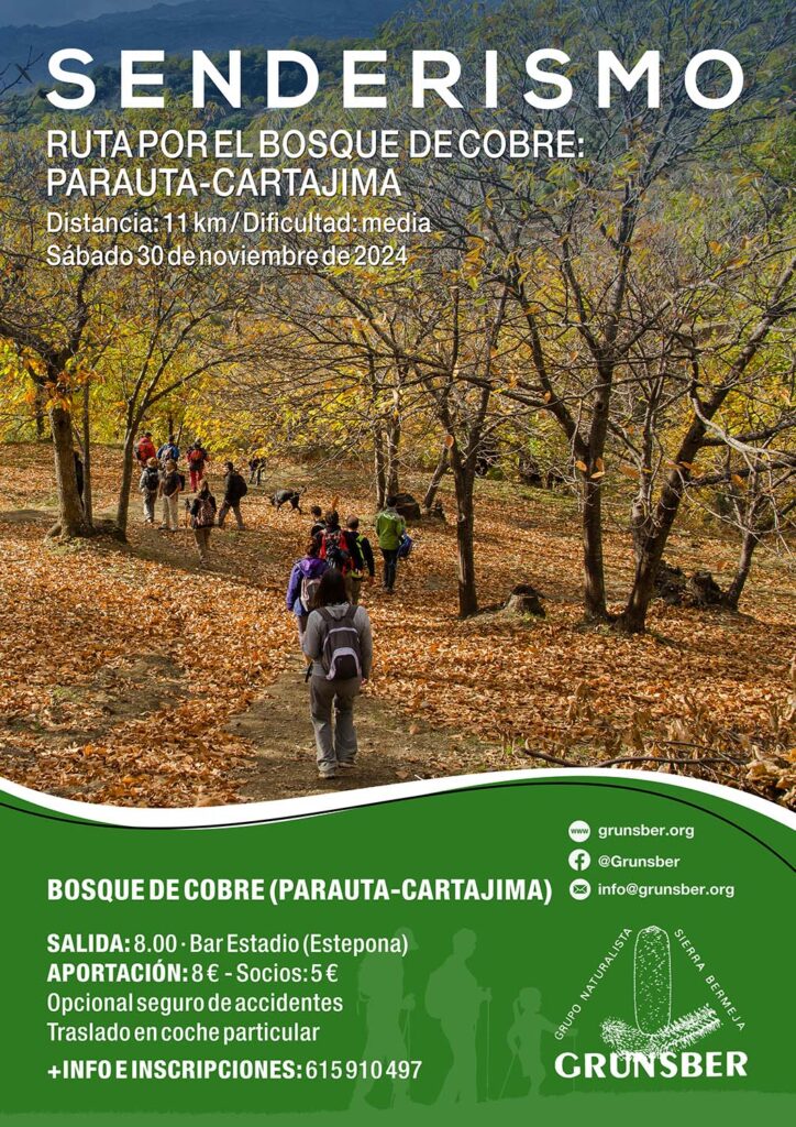 Ruta por el Bosque de Cobre (Parauta-Cartajima)