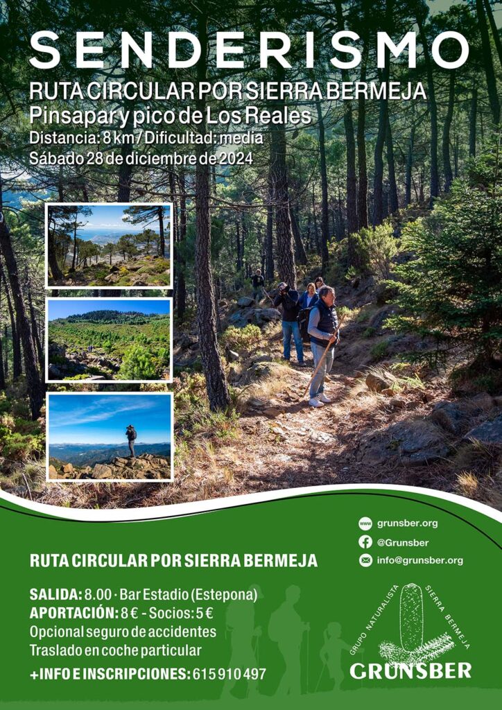 Ruta circular por el pinsapar y pico de Los Reales de Sierra Bermeja