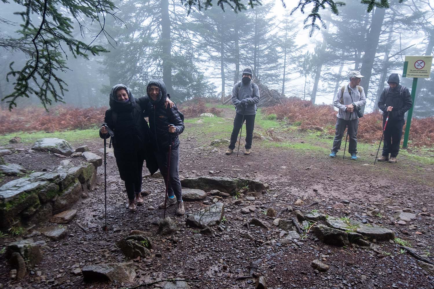 Excursión Grunsber por Los Reales de Sierra Bermeja (Fotografía: Rafael Galán)