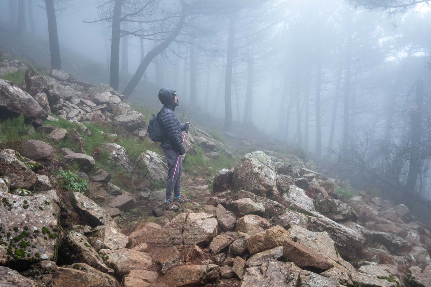 Excursión Grunsber por Los Reales de Sierra Bermeja (Fotografía: Rafael Galán)