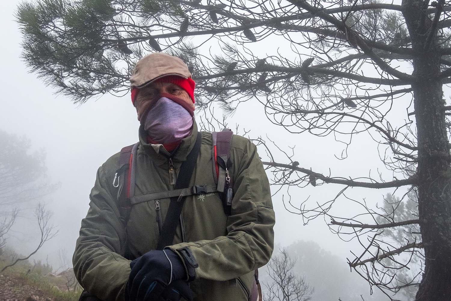 Excursión Grunsber por Los Reales de Sierra Bermeja (Fotografía: Rafael Galán)