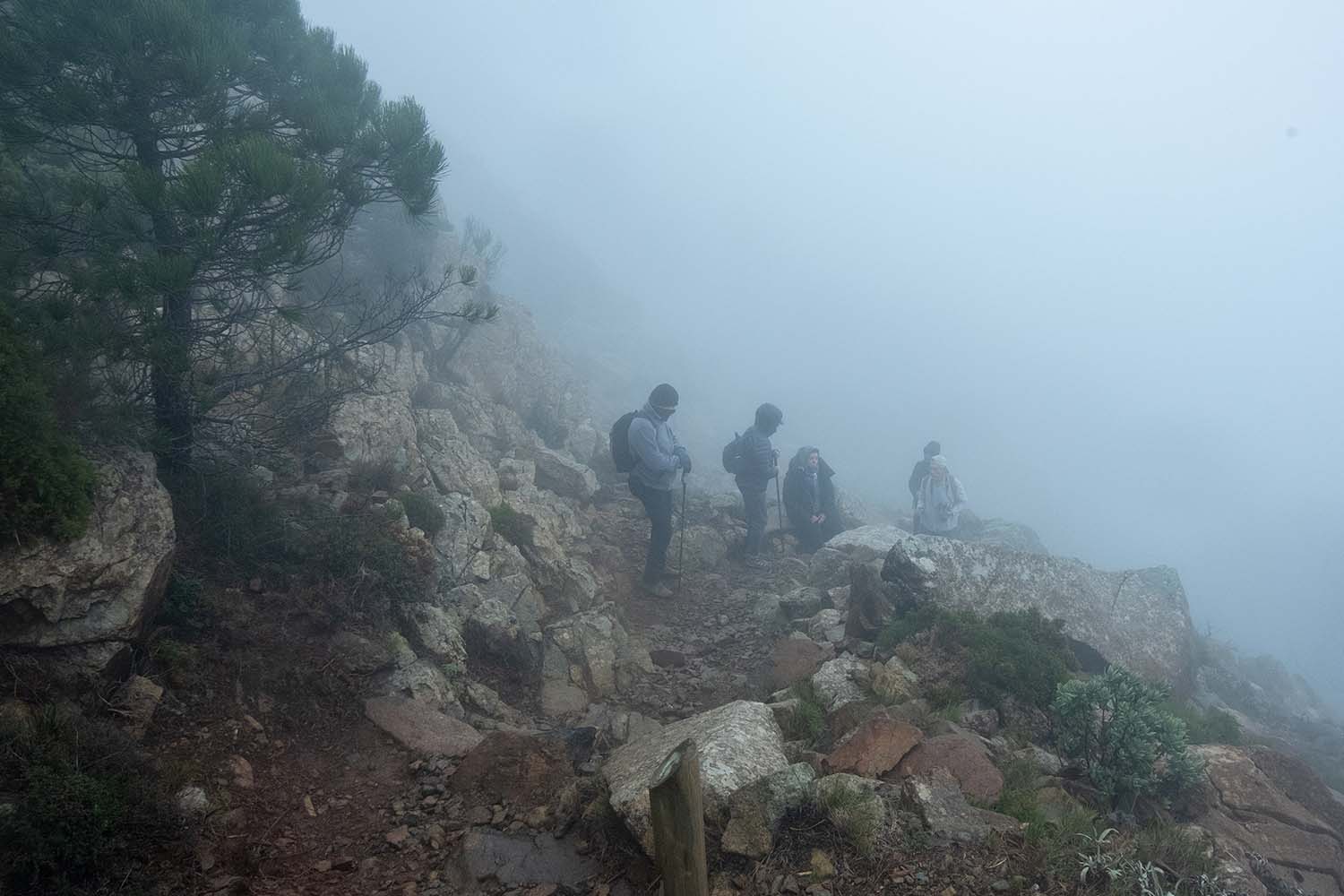 Excursión Grunsber por Los Reales de Sierra Bermeja (Fotografía: Rafael Galán)