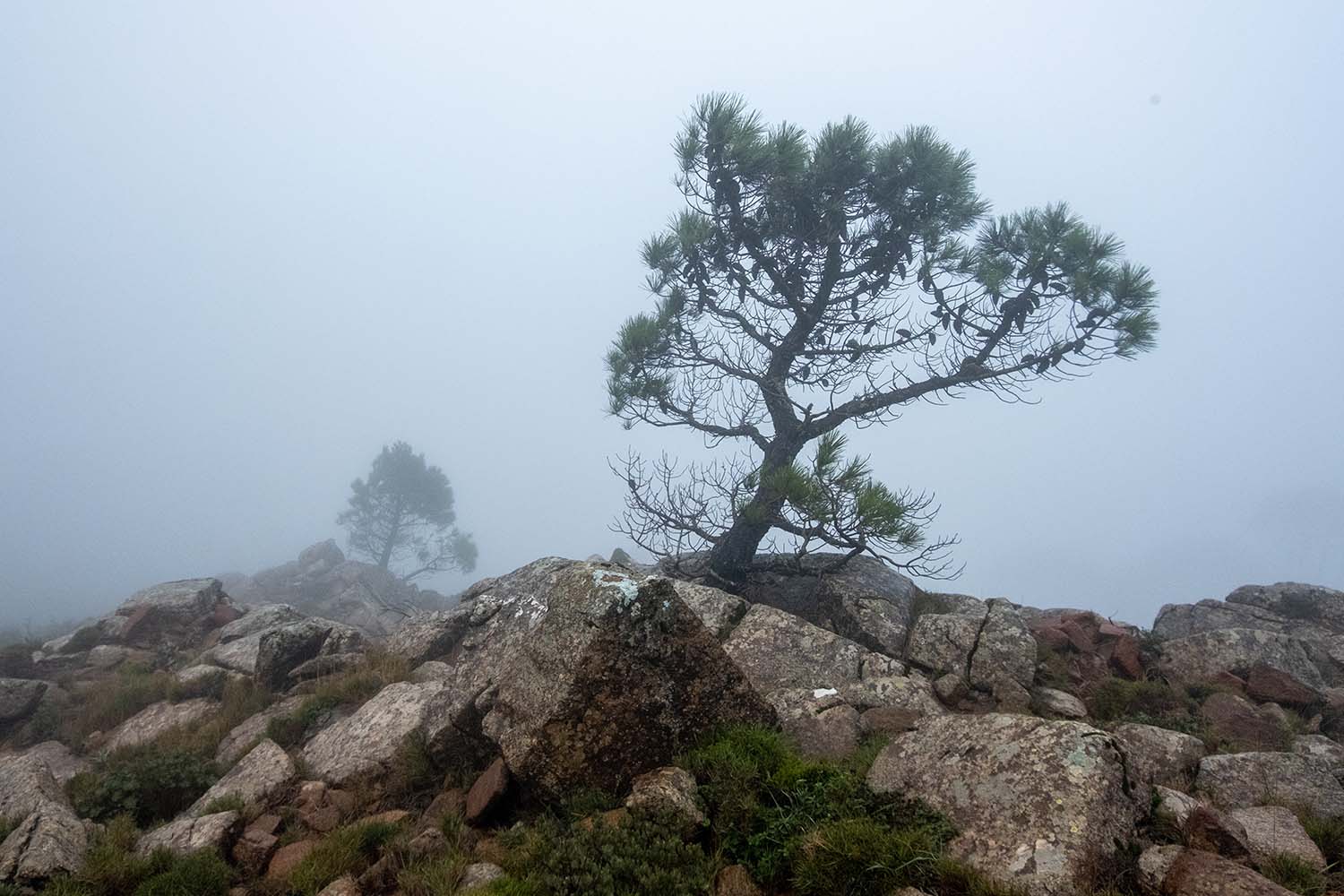 Excursión Grunsber por Los Reales de Sierra Bermeja (Fotografía: Rafael Galán)