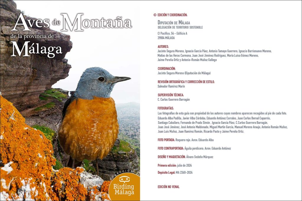 Aves de montaña de la provincia de Málaga