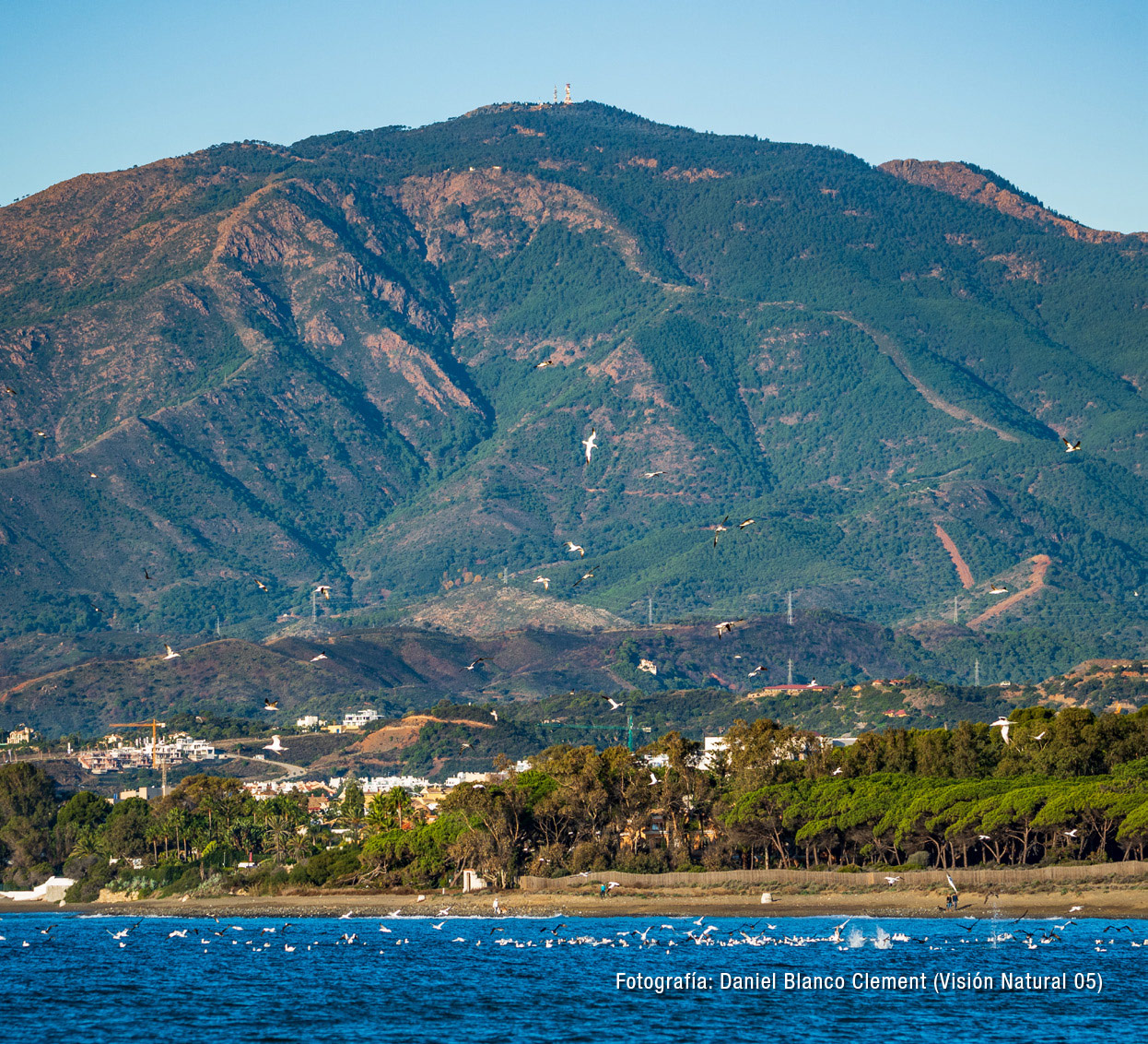 Litoral de la costa de Estepona con el trasfondo montañoso de Sierra Bermeja (Fotografía: Daniel Blanco Clement)