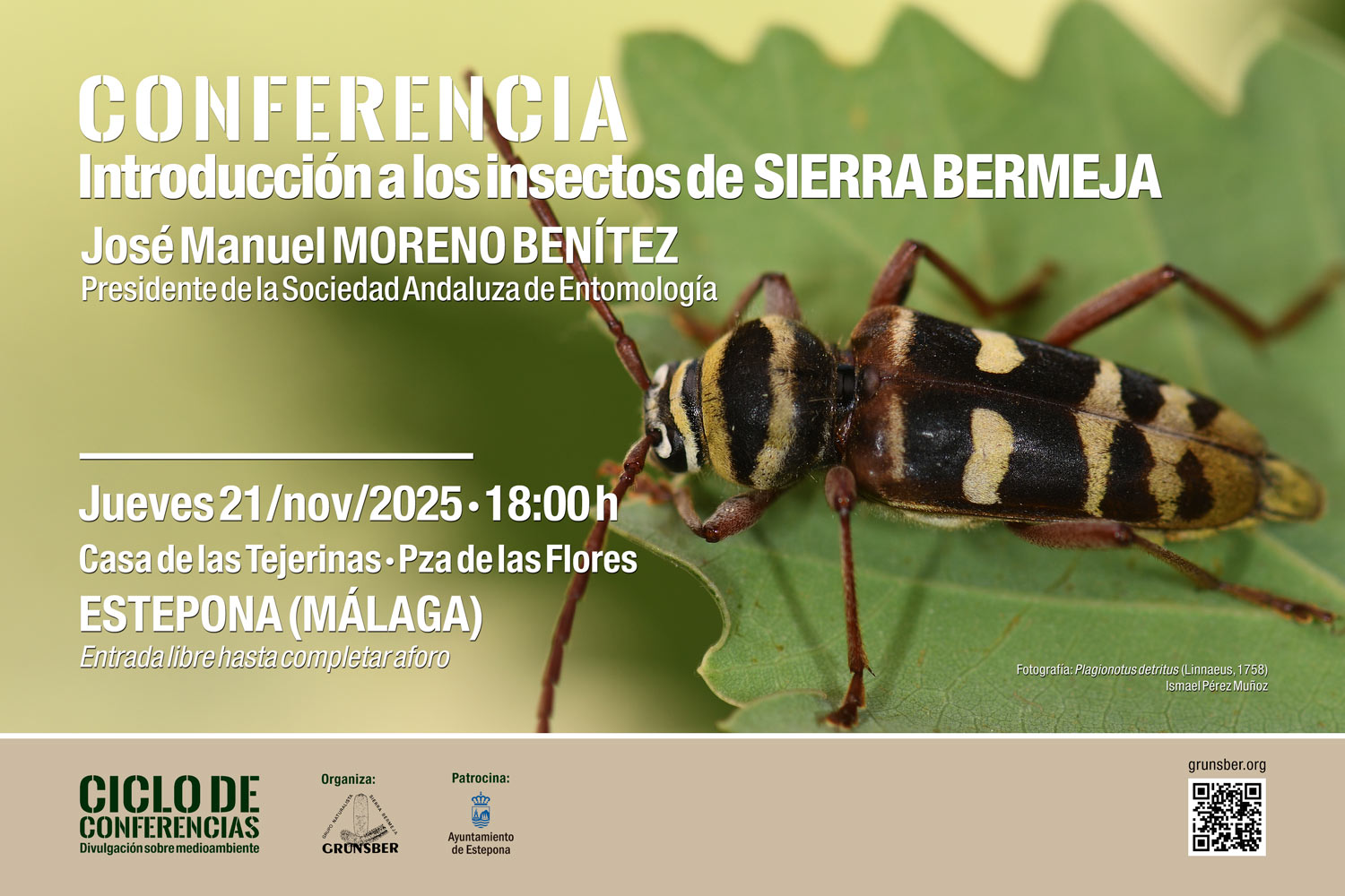 Conferencia 'Introducción a los insectos de Sierra Bermeja', por José Manuel Moreno Benítez