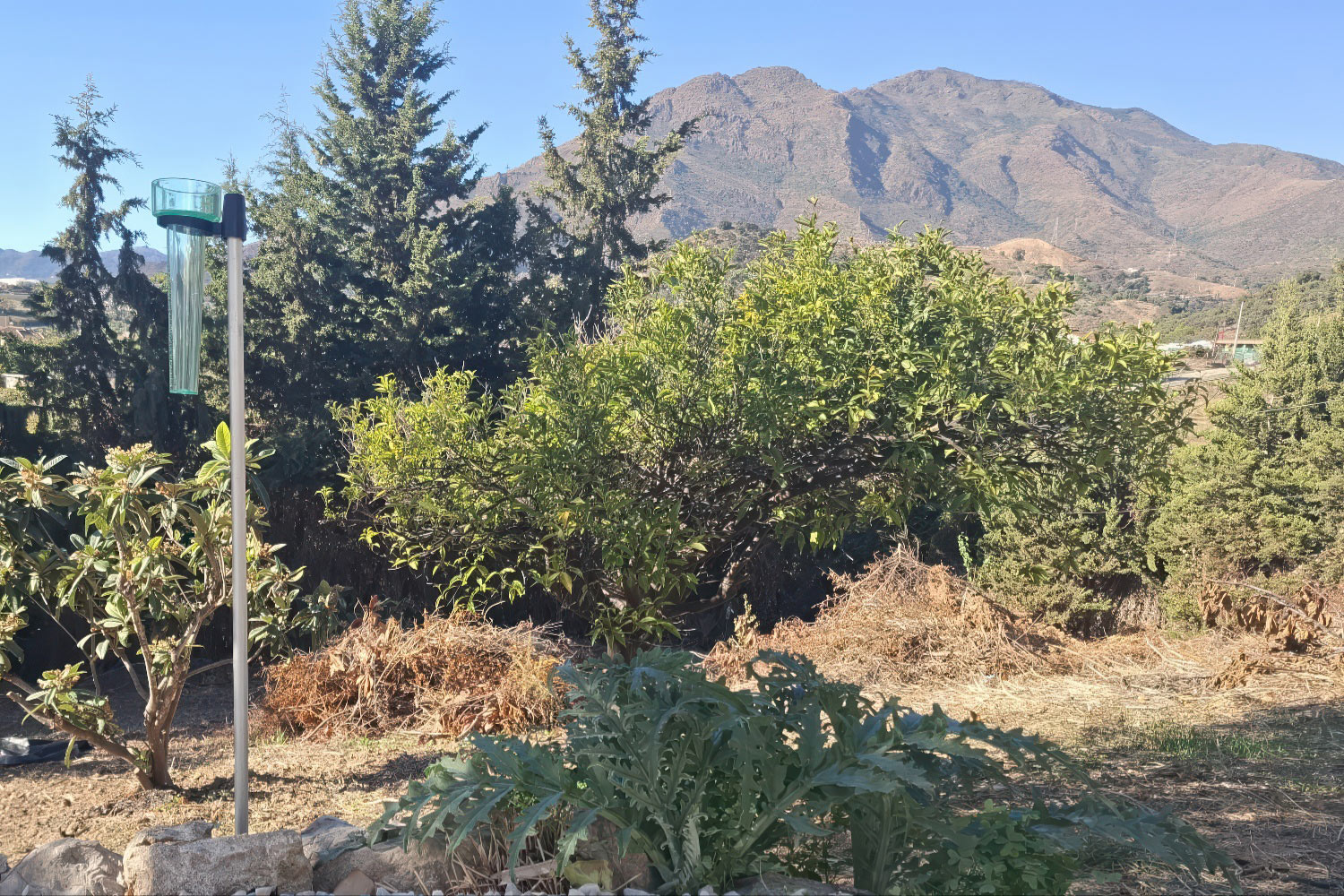 Paraje de Pantoja (Estepona), en el piedemonte de Sierra Bermeja