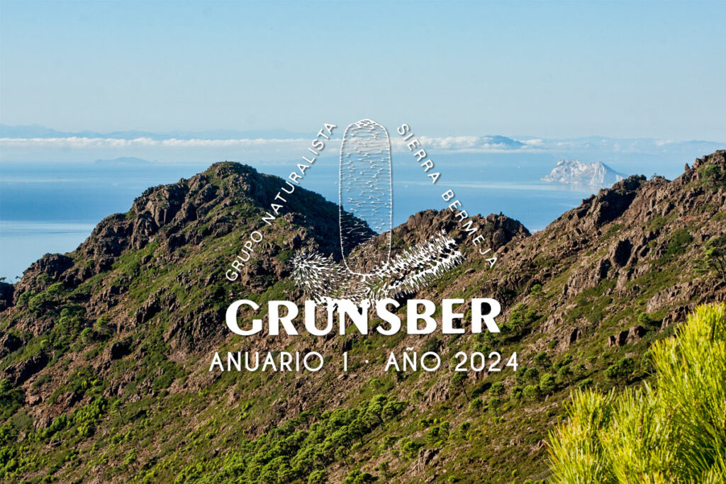 Anuario Grunsber núm 1 (2024)