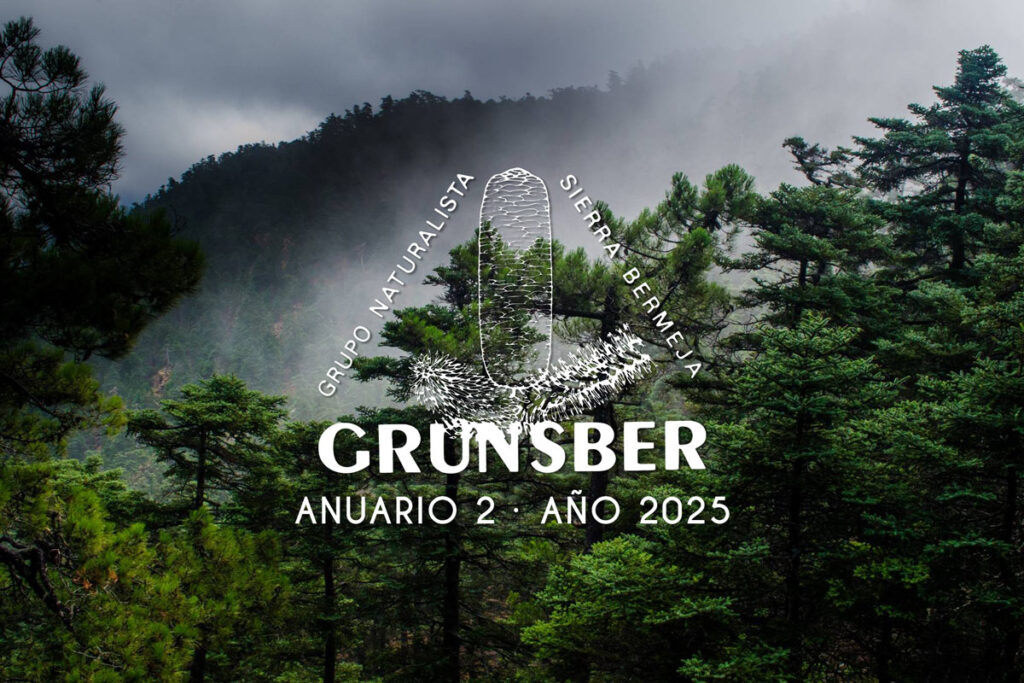 Anuario Grunsber núm 2 (2025)