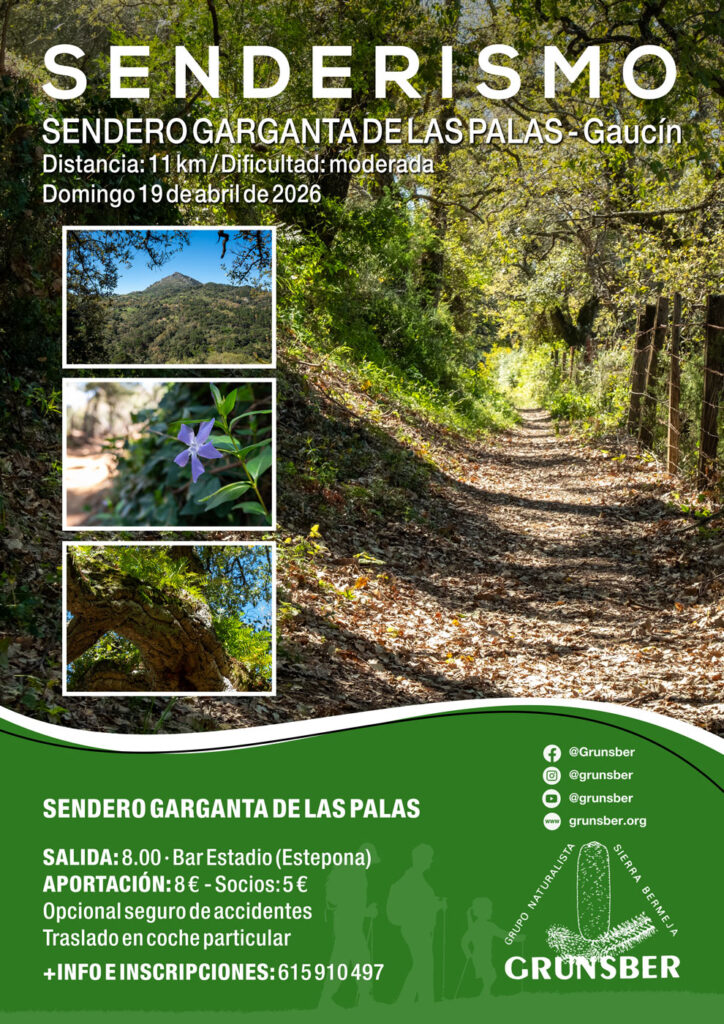 Sendero Garganta de las Palas, Gaucín (19/4/2026)