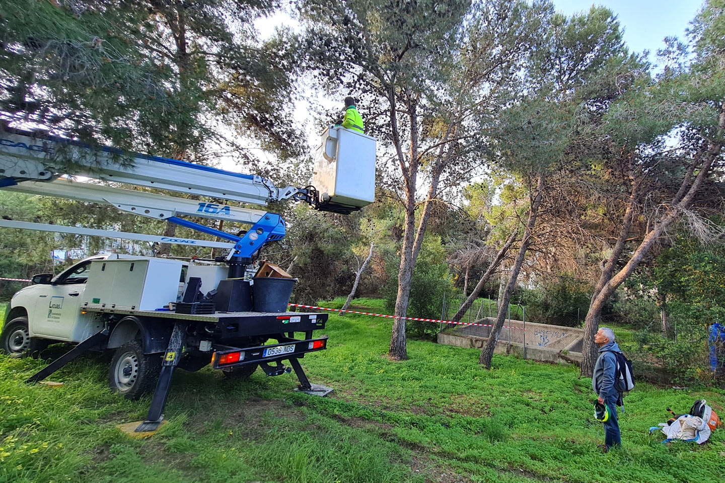 Grunsber instala cajas nido para autillos y murciélagos en Estepona